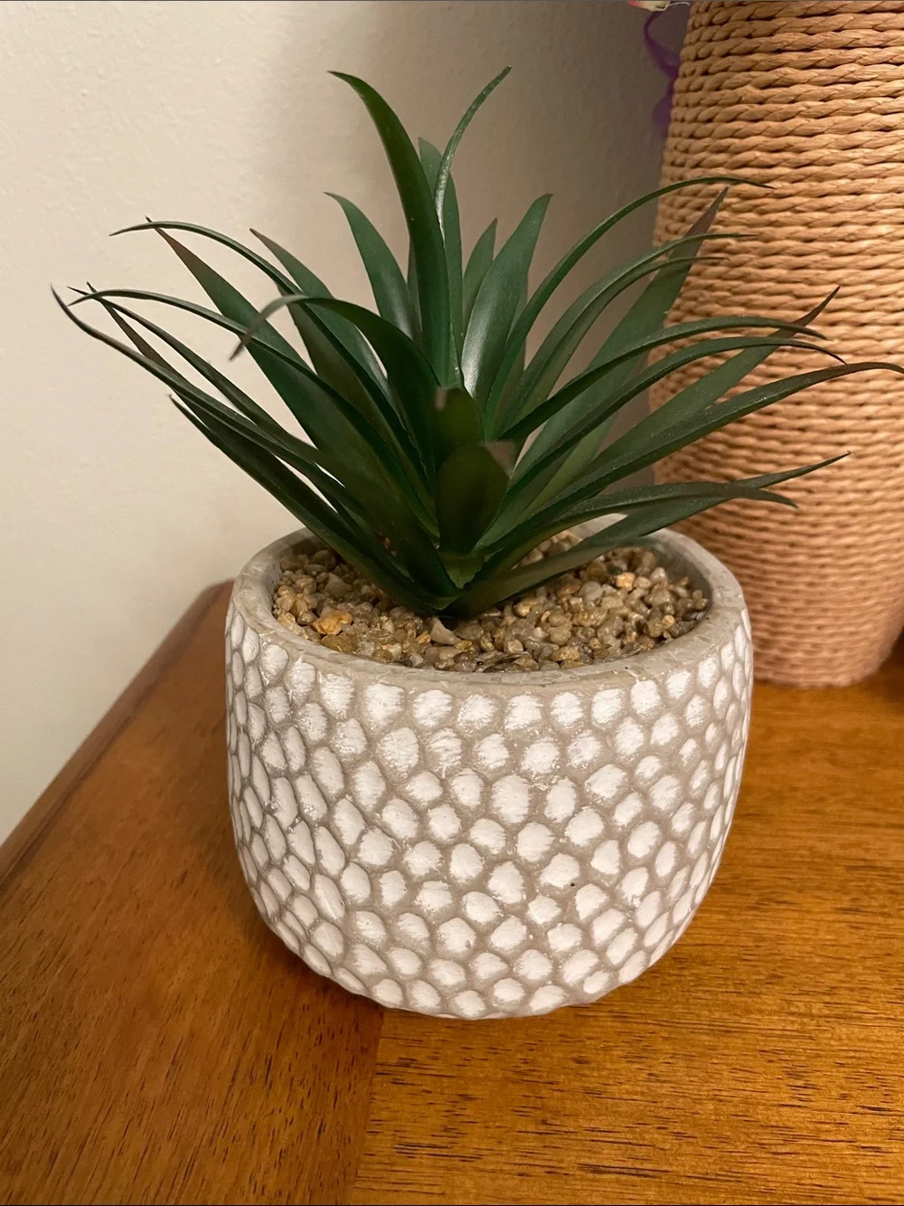 Artificial Faux Green Succulent Plant in Cement Pot Planter Excellent Condition